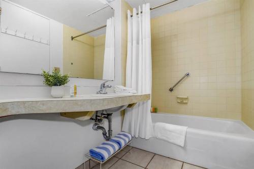 WINTER RATES! Comfortable Studio Suite with Full Kitchen! SJI 212 thumb 2