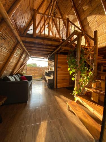 Turmequé cabaña (Turmeque cabana) in Chinchina