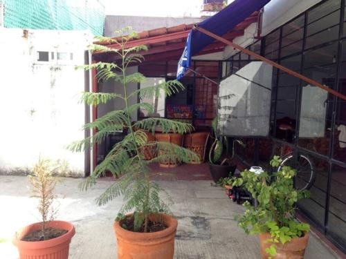 Cómoda casa Chapalita 3 rec 2 baños in Guadalajara, Mexico