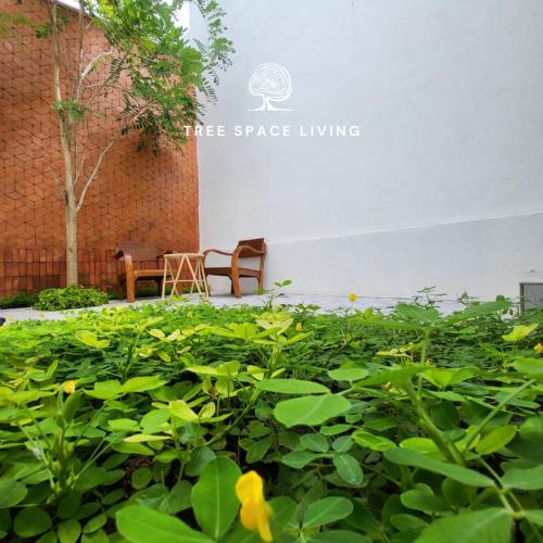 Tree Space Living