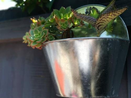 A Perfect Stay -Bartlett By The Park