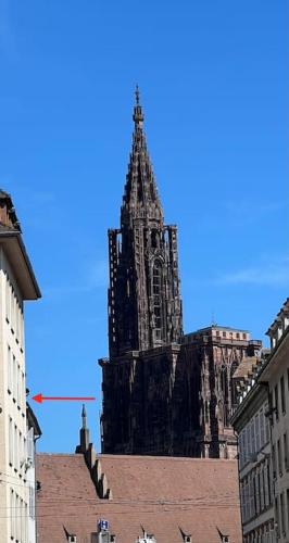 90m2 hyper centre Sauna, Strasbourg (photo 2)