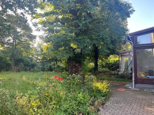 ทัศนียภาพภายนอกโรงแรม, Unterkunft Mozart Magdeburg in กลางเมืองมักเดบูร์ก