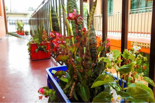 Westend Motel in Φορτ Πόρταλ