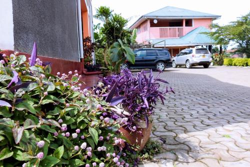 Κήπος, Westend Motel in Φορτ Πόρταλ