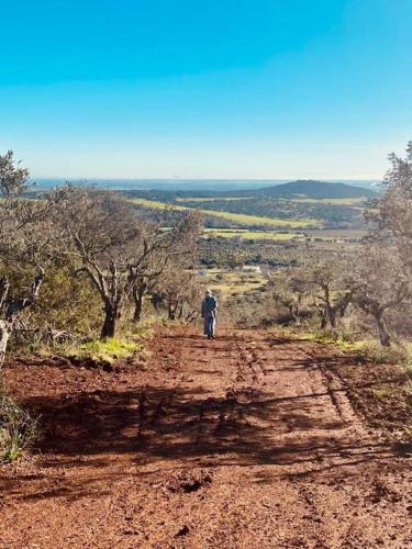 Surrounding environment, House near Elvas on Olive Farm in Elvas