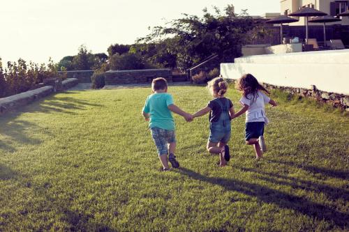 Garden, Diles & Rinies in Tinos