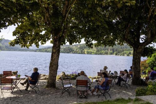 Maritim Titisee Hotel - image 9