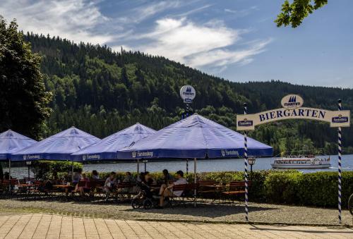 Maritim Titisee Hotel - image 11