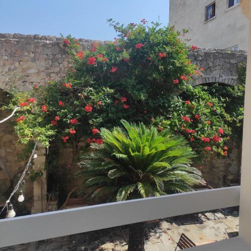 Guesthouse Bogdanovic in Budva Old Town