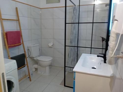 Baño, Le Latanier bleuté (Le Latanier bleute) in Le Francois