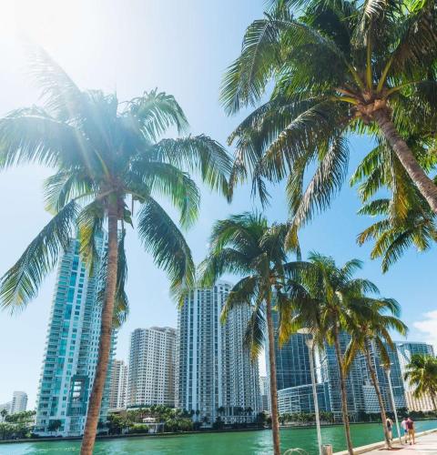 Cozy xxl studio FREE Parking in Miami, USA