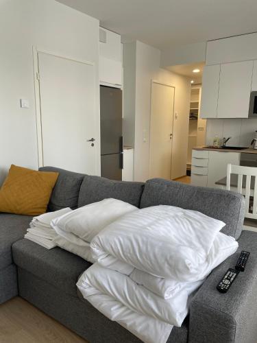 Willamo apartment with private sauna 2