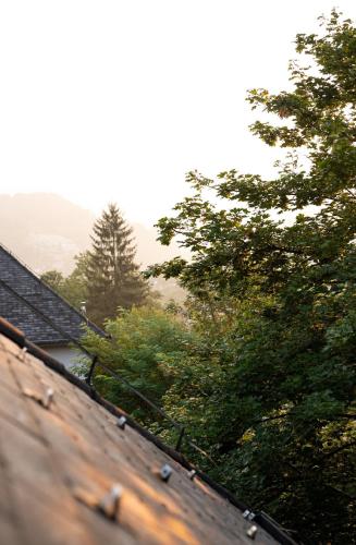 Apartman Maja in 亚伊采