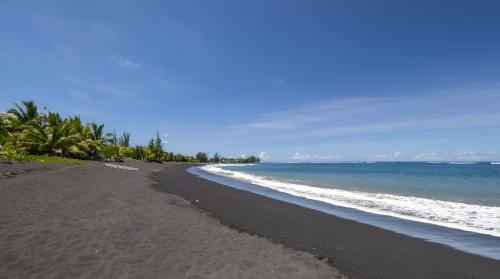 شاطئ, Pitate Surf House in بابارا