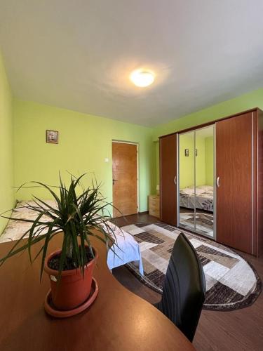 Sunny Apartment in Predeal