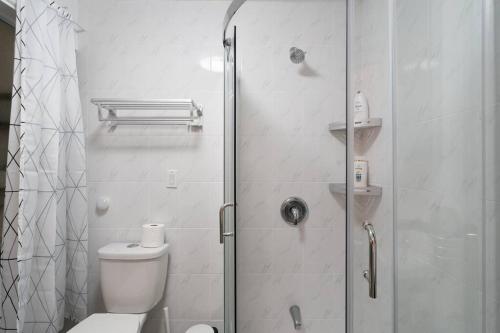 Spacious Room with Ensuite Bathroom near Subway, Koreatown & UofT, Toronto (foto 6)