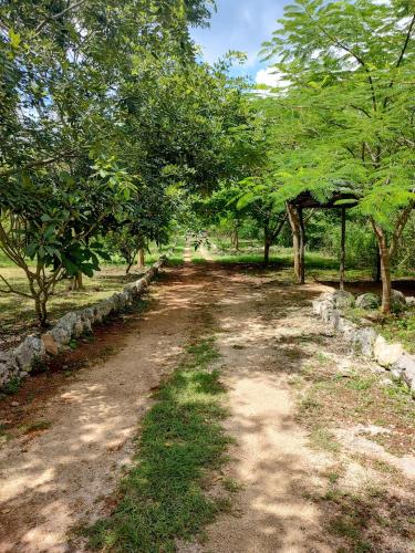 Dārzs, Eco Hacienda ICH-KI in Hoktuna