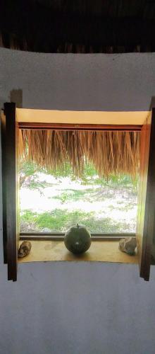 Iekārtas, Eco Hacienda ICH-KI in Hoktuna