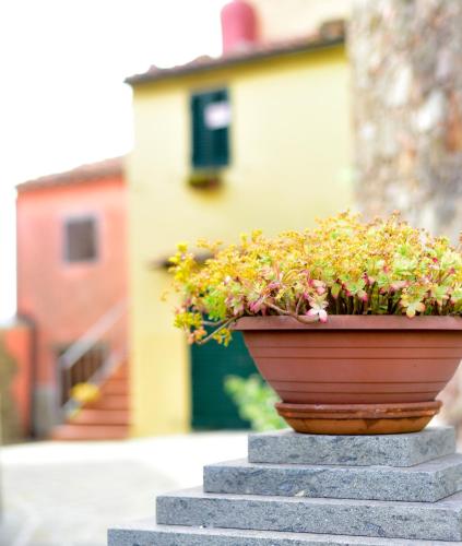 Agriturismo Castello delle Fornaci - image 2