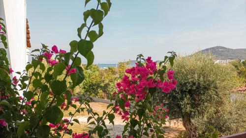 Nikolas Studios, Moraḯtika (fotografie 7)