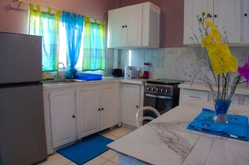 Spacious & quiet Apt 2 Nested Point Old Westerhall in Becke Moui