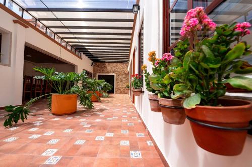La Casa de Los Abuelos Hotel Boutique in Ixtlán del Río, Mexico