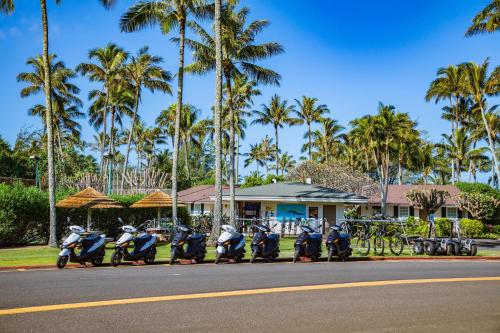 Villa 202 at Turtle Bay - image 3