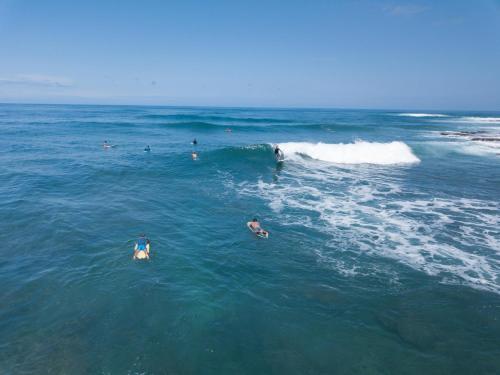 Villa 302 at Turtle Bay - image 9