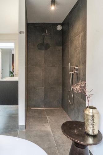 Stadsvilla Tilburg 3 luxe kamers Anna Paulowna - main image