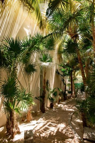 Elegant and comfy 2BR 1 block from the Ocean in Progreso, Mexico