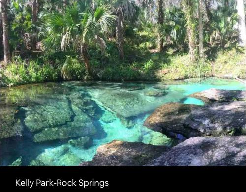 5 Star Luxury LARGE Cozy Country Home With Pool & Patio! Strong Wifi in Mount Dora, USA
