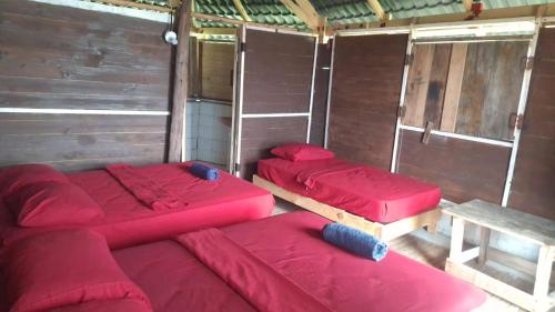 Coconut Paradise in El Porvenir