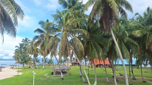 Aed, Coconut Paradise in El Porvenir