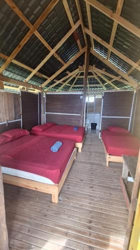 Coconut Paradise in El Porvenir