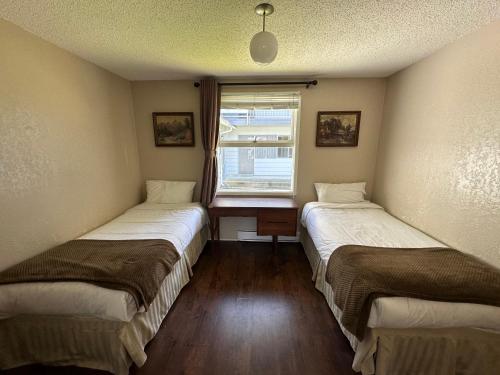 2 twin beds, 1 sofa bed