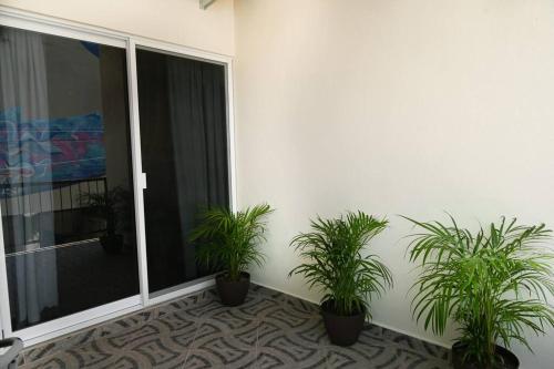 Prime Location, Fresh, Spotless, and Secure Accommodation, Sayulita (fotografie 2)