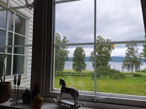 Apartement with free sauna and northern light in 나르비크 시내