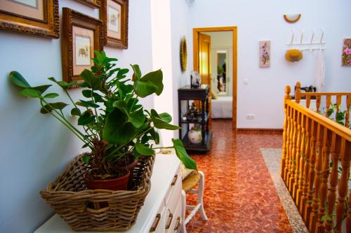 Buitenkant, Alojamiento Rural Las Acacias in Cabra