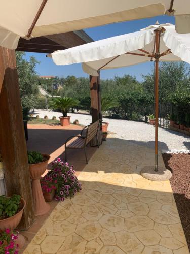 Agriturismo cerquatonda in Montalto delle Marche