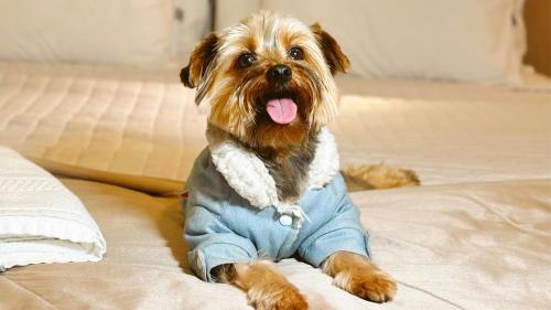 Hotel Fioreze Origem