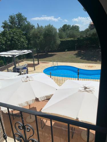 Agriturismo cerquatonda in Montalto delle Marche