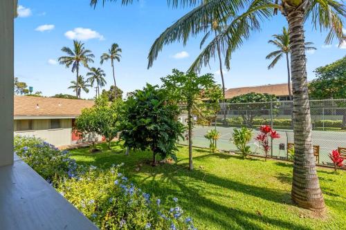Kihei Bay Surf 140 - Remodeled ground floor Kihei gem across from beach Kihei Bay Surf 140 - Remodeled ground floor Kihei gem across from beach
