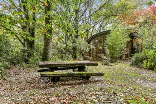 Beech - 2 Perrins Creek Rd Olinda, Olinda (photo 3)