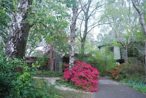 Beech - 2 Perrins Creek Rd Olinda, Olinda (photo 7)