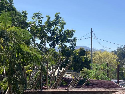 Potters Warehouse in Bellingen