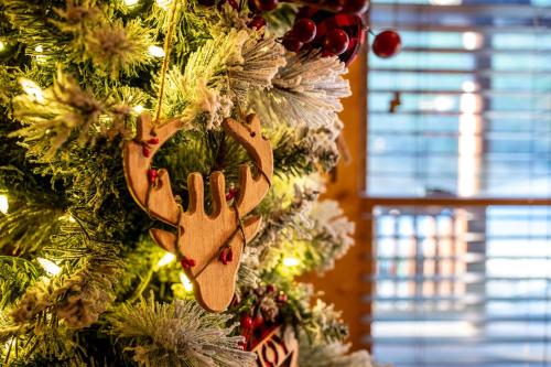 Mountain Laurel Holiday home in Gatlinburg, USA