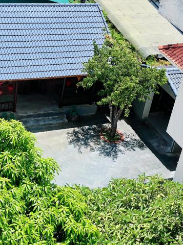 Khách Sạn Bình Minh - image 3