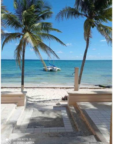Beautiful Beachfront Apartment with Pool Relaxing Getaway, Cancún (photo 3)