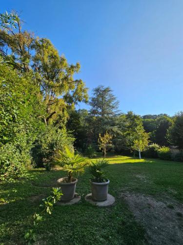 منظر, Appartement en bord de seine in Le Coudray Montceaux
